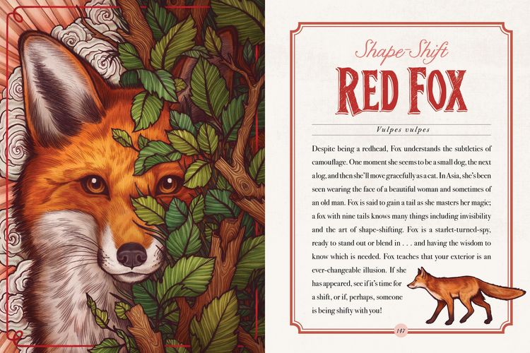 Produktbild: The Illustrated Bestiary