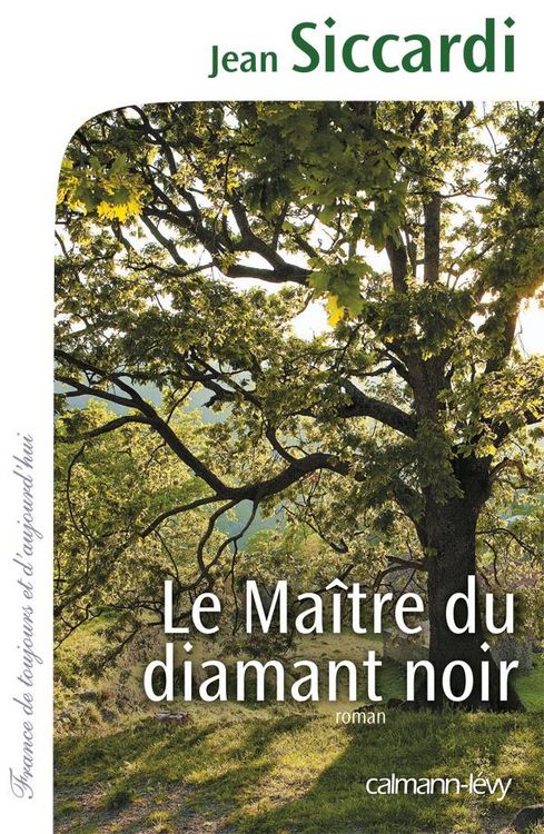 Produktbild: Le maitre du diamant noir