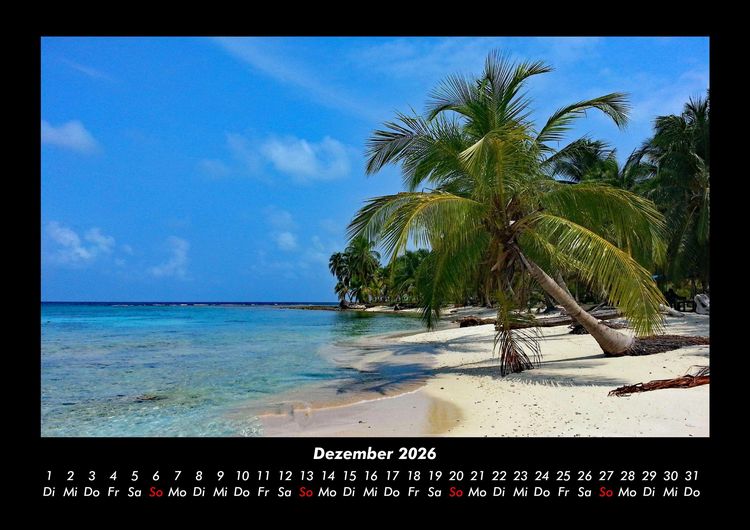 Produktbild: Palmentraum 2026 Fotokalender DIN A3