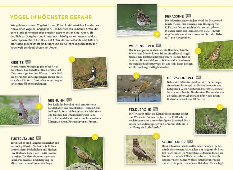 Produktbild: Lieblingsv&ouml;gel