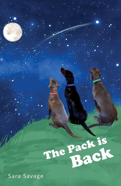 Produktbild: Pack is Back