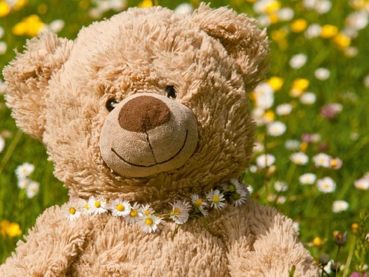 Produktbild: CALVENDO Puzzle Liebenswerter Kuschelb&auml;r. | 1000 Teile Lege-Gr&ouml;&szlig;e 64x48cm Foto-Puzzle f&uuml;r gl&uuml;ckliche Stunden