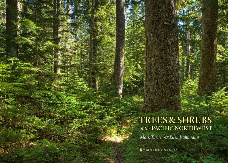 Produktbild: Trees and Shrubs of the Pacific Northwest