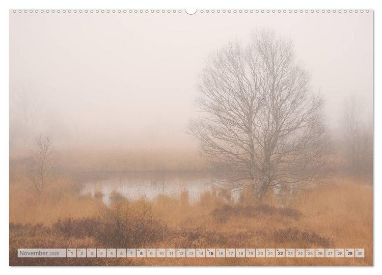 Produktbild: Moore und B&auml;che in Eifel und Ardennen (Wandkalender 2026 DIN A2 quer), CALVENDO Monatskalender