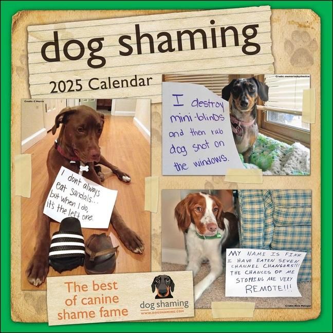 Produktbild: Lemire, P: Dog Shaming 2025 Wall Calendar