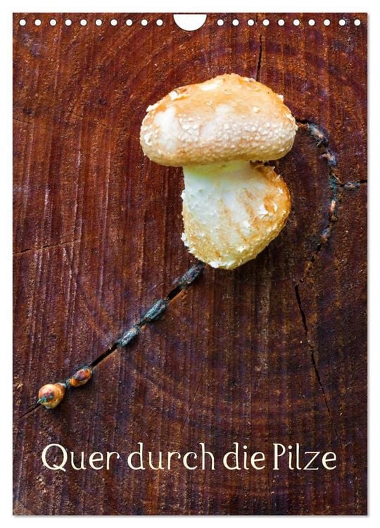 Produktbild: Quer durch die Pilze (Wandkalender 2027 DIN A4 hoch), CALVENDO Monatskalender
