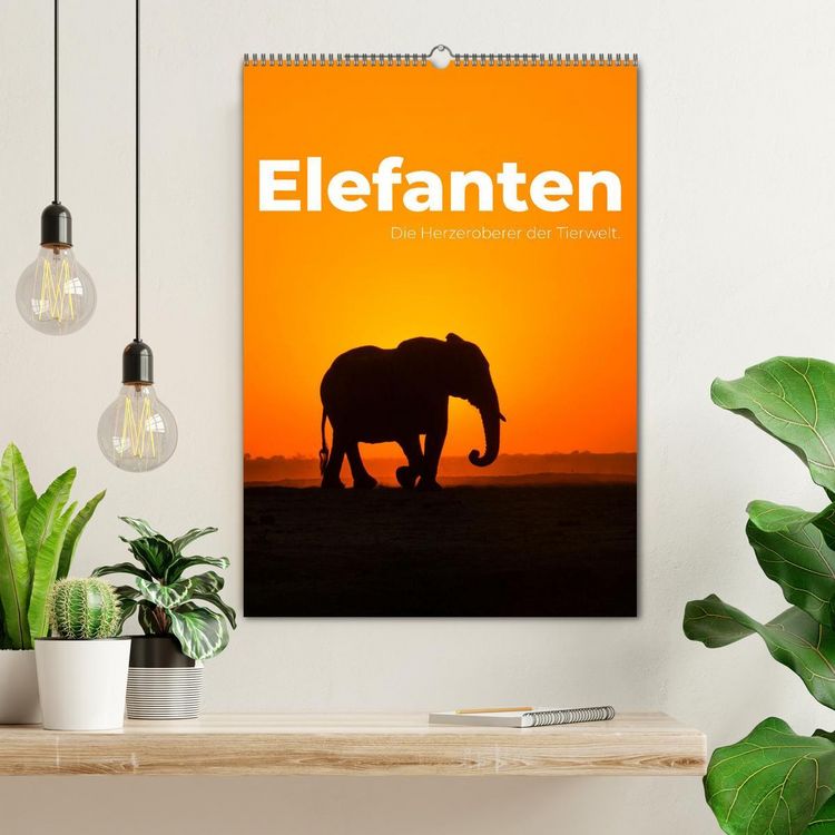 Produktbild: Elefanten - Die Herzeroberer der Tierwelt. (Wandkalender 2026 DIN A2 hoch), CALVENDO Monatskalender