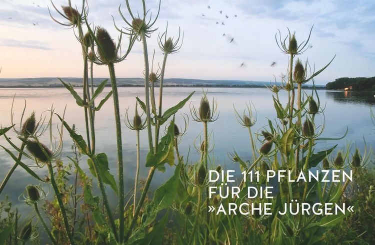 Produktbild: Der Pflanzenretter