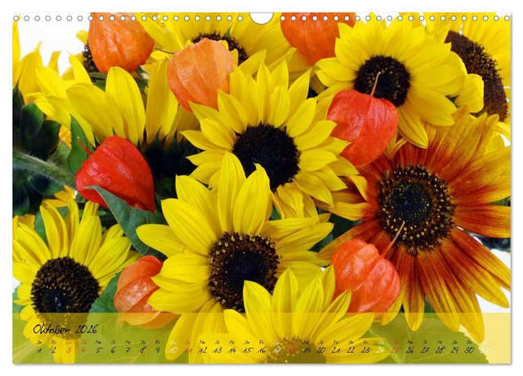 Produktbild: Bl&uuml;ten dicht an dicht (Wandkalender 2026 DIN A3 quer), CALVENDO Monatskalender