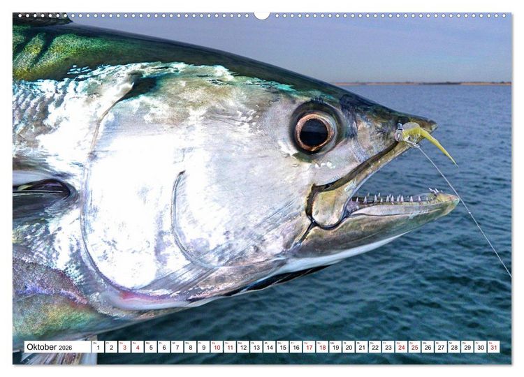Produktbild: Anglergl&uuml;ck - den Fisch am Haken (Wandkalender 2026 DIN A2 quer), CALVENDO Monatskalender