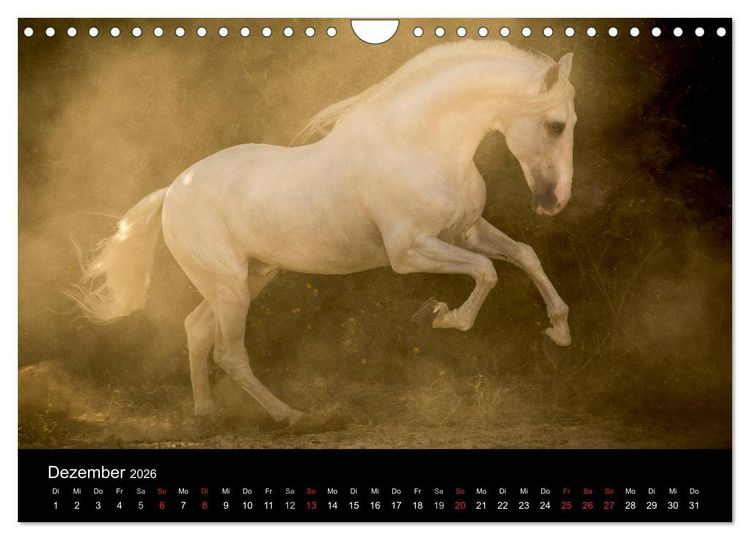 Produktbild: Spaniens stolze Pferde (Wandkalender 2026 DIN A4 quer), CALVENDO Monatskalender