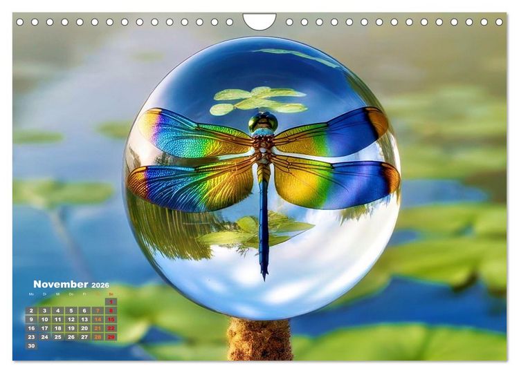 Produktbild: Libellen in einer Glaskugel (Wandkalender 2026 DIN A4 quer), CALVENDO Monatskalender