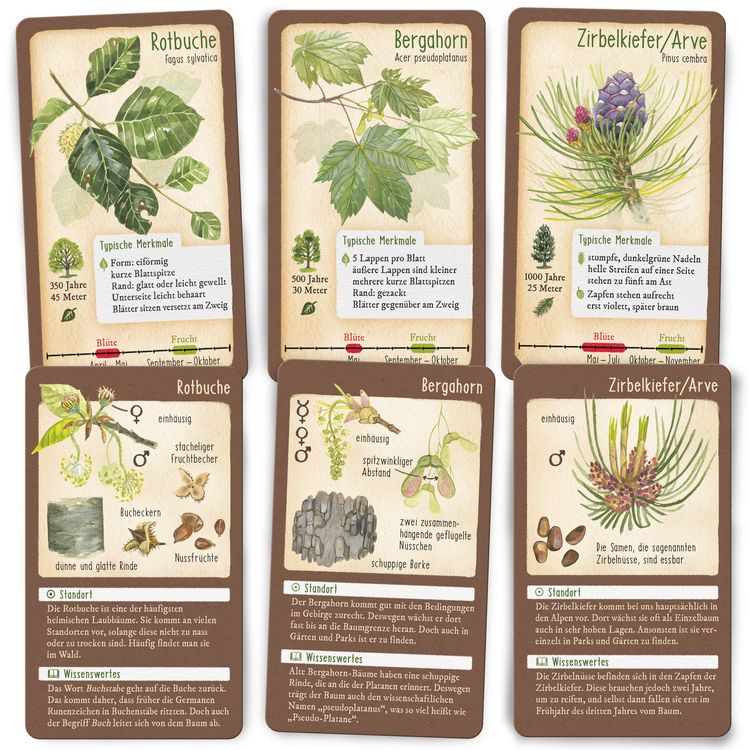 Produktbild: Tour durch die Natur - 50 unserer heimischen B&auml;ume
