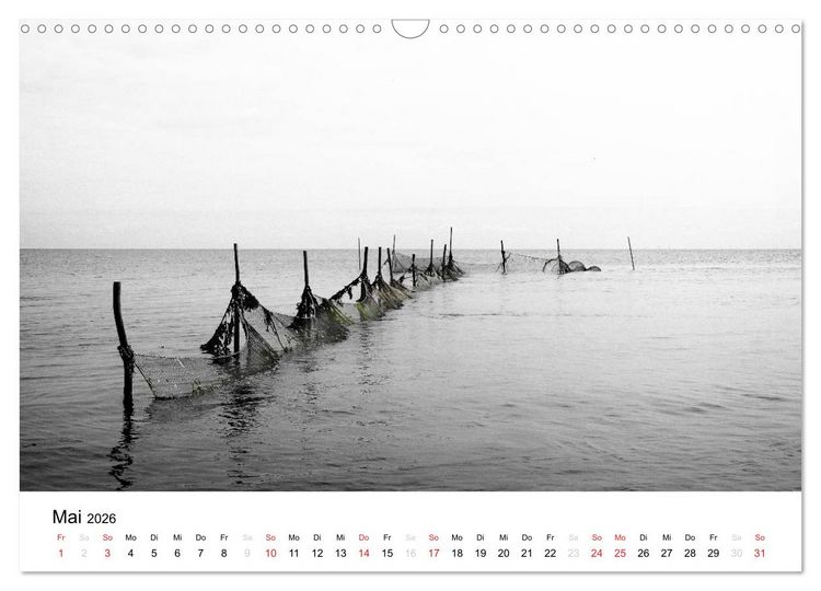 Produktbild: sch&ouml;nes Texel (Wandkalender 2026 DIN A3 quer), CALVENDO Monatskalender