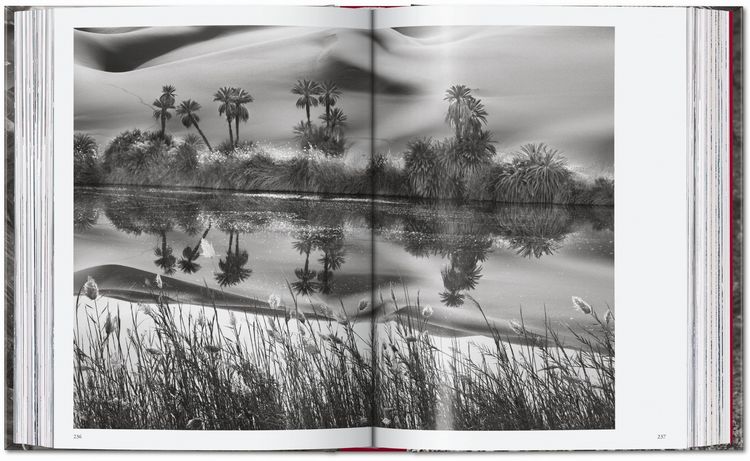 Produktbild: Sebasti&atilde;o Salgado