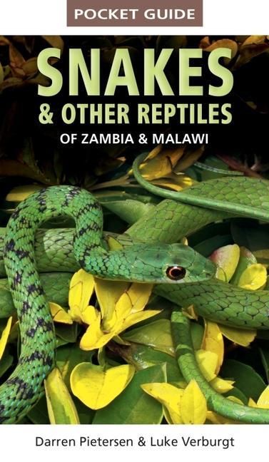 Produktbild: Pocket Guide to Snakes & Other Reptiles of Zambia and Malawi