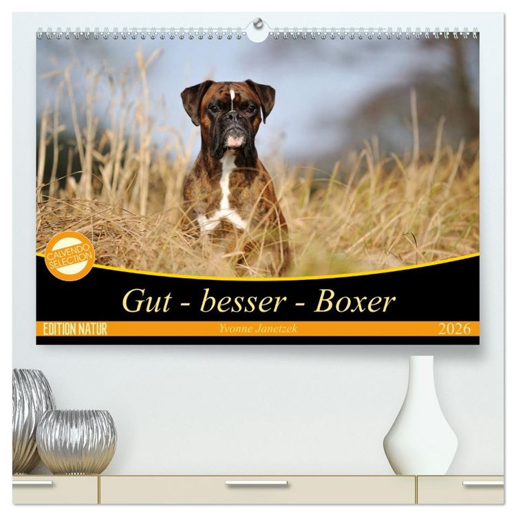 Produktbild: Gut - besser - Boxer (hochwertiger Premium Wandkalender 2026 DIN A2 quer), Kunstdruck in Hochglanz