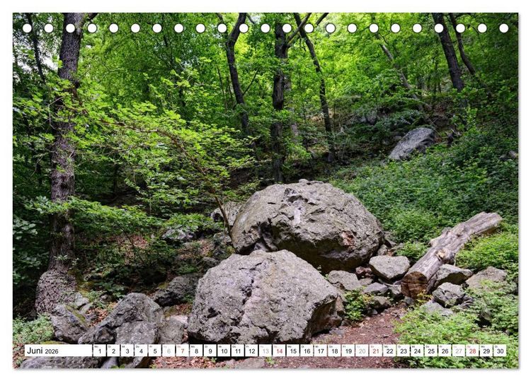 Produktbild: Naturlandschaft Laacher See (Tischkalender 2026 DIN A5 quer), CALVENDO Monatskalender