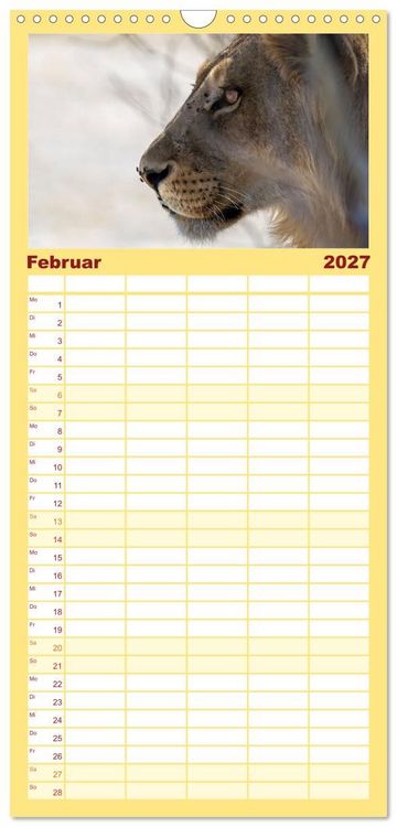 Produktbild: Familienplaner 2027 - L&ouml;wen in Botswana und S&uuml;dafrika mit 5 Spalten (Wandkalender, 21 x 45 cm) CALVENDO