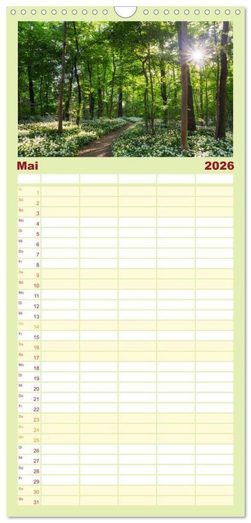 Produktbild: Familienplaner 2026 - Stimmungsvolle Landschaften in Sachsen mit 5 Spalten (Wandkalender, 21 x 45 cm) CALVENDO