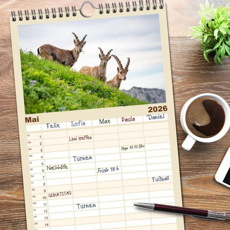 Produktbild: Familienplaner 2026 - Steinb&ouml;cke - Eindr&uuml;ckliche K&ouml;nige der Alpen mit 5 Spalten (Wandkalender, 21 x 45 cm) CALVENDO