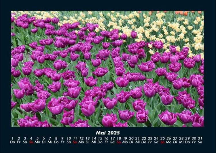 Produktbild: Blumenzauber 2025 Fotokalender DIN A4