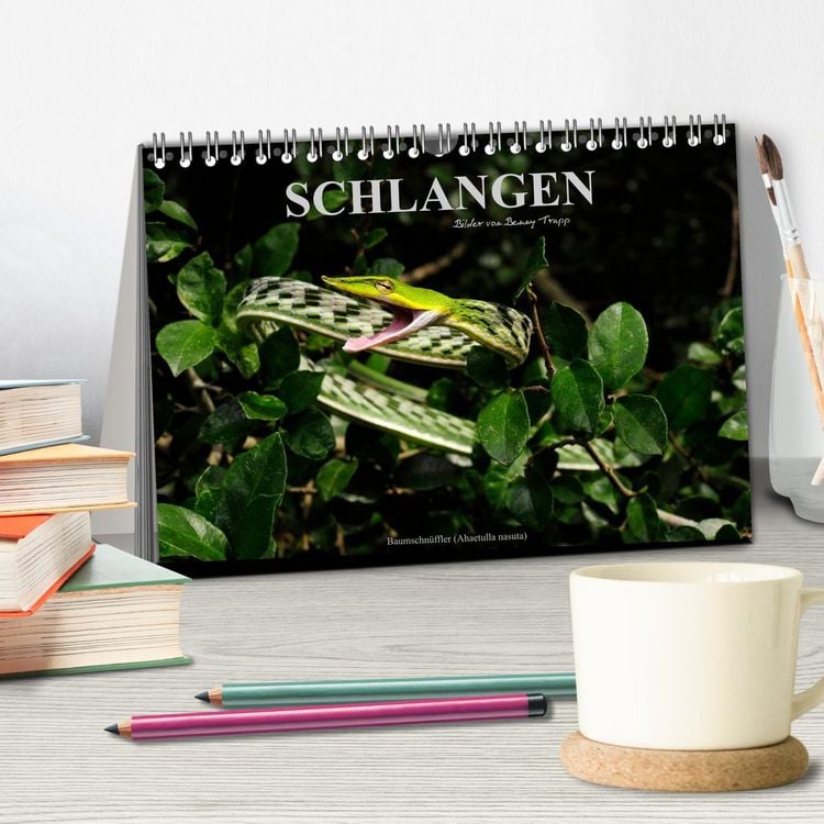 Produktbild: Schlangen (Tischkalender 2026 DIN A5 quer), CALVENDO Monatskalender