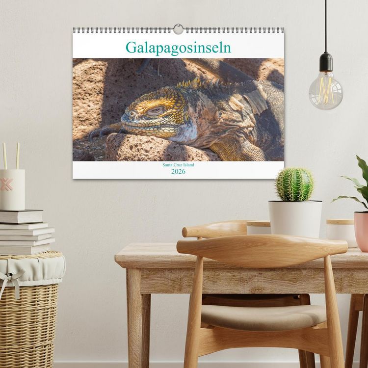 Produktbild: Die Galapagosinseln - Santa Cruz Island (Wandkalender 2026 DIN A3 quer), CALVENDO Monatskalender