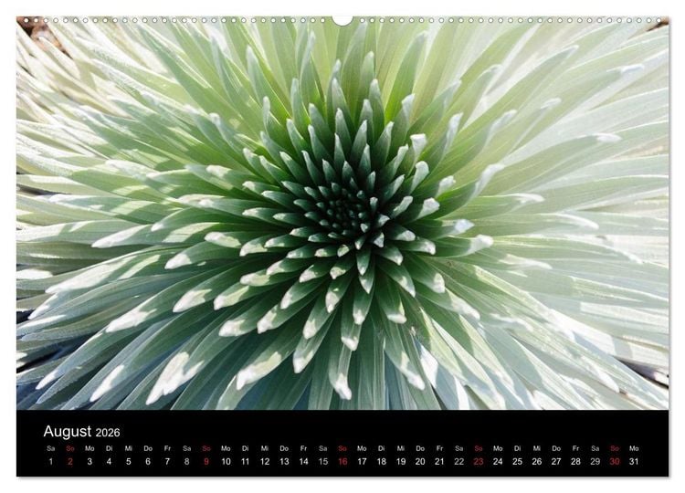 Produktbild: Hawaii - Oahu - Maui (hochwertiger Premium Wandkalender 2026 DIN A2 quer), Kunstdruck in Hochglanz