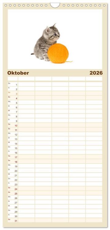 Produktbild: Familienplaner 2026 - Katzenbabys mit 5 Spalten (Wandkalender, 21 x 45 cm) CALVENDO