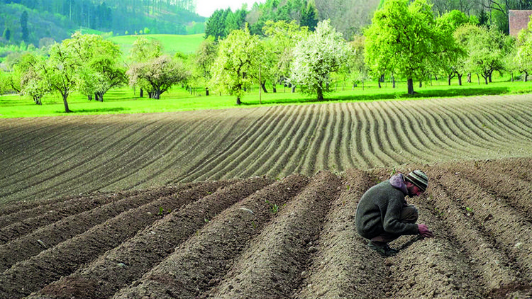 Produktbild: Uhlig, M: Unser Boden, unser Erbe