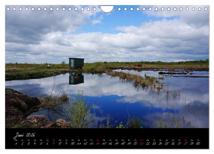 Produktbild: Im Goldenstedter Moor (Wandkalender 2026 DIN A4 quer), CALVENDO Monatskalender