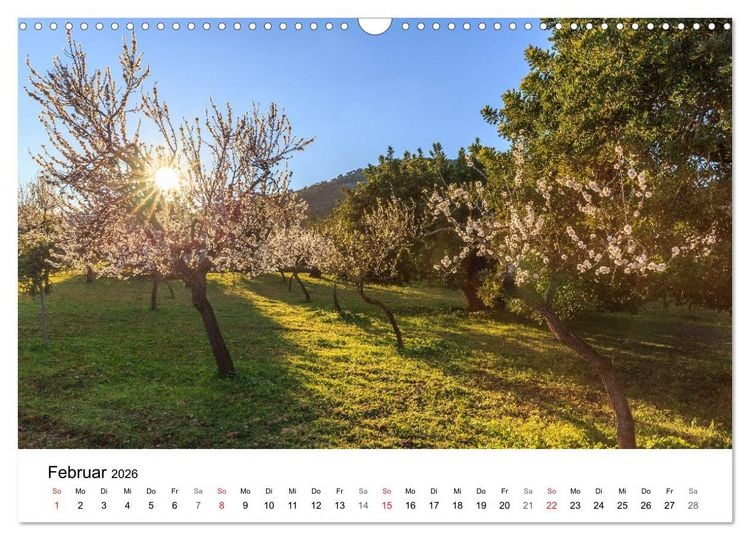 Produktbild: Europa im sch&ouml;nsten Licht (Wandkalender 2026 DIN A3 quer), CALVENDO Monatskalender