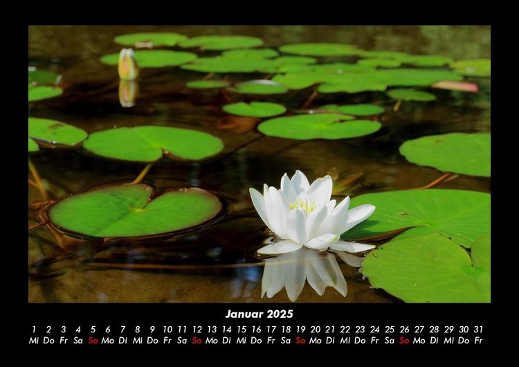 Produktbild: Tag am See 2025 Fotokalender DIN A3