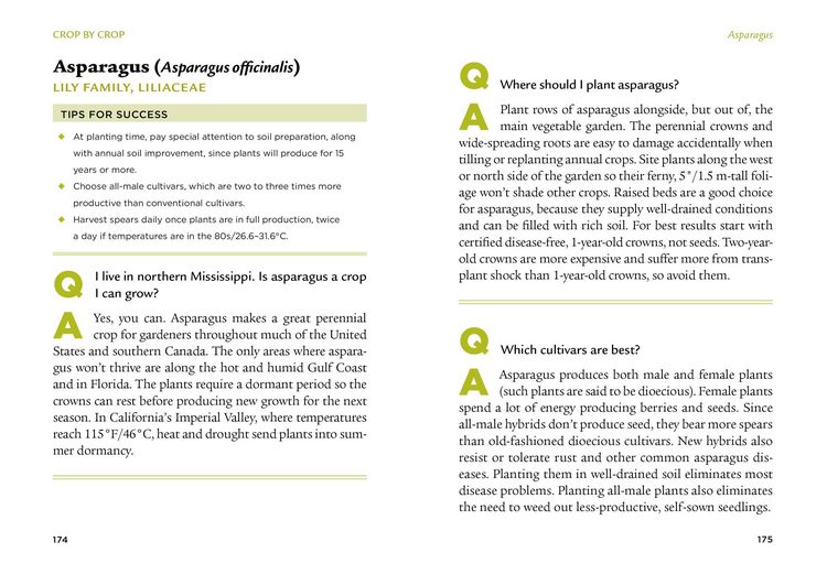 Produktbild: The Veggie Gardener's Answer Book