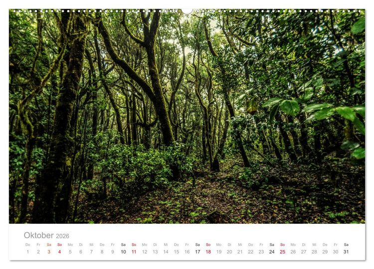Produktbild: La Gomera &ndash; Die gr&uuml;ne Perle der Kanaren. (Wandkalender 2026 DIN A2 quer), CALVENDO Monatskalender
