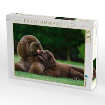 Produktbild: CALVENDO Puzzle Neufundl&auml;nder | 1000 Teile Lege-Gr&ouml;&szlig;e 64x48cm Foto-Puzzle f&uuml;r gl&uuml;ckliche Stunden
