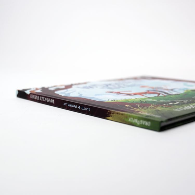 Produktbild: Wo Drachen wachen