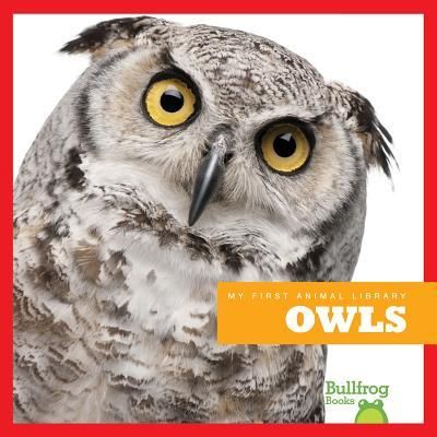 Produktbild: Owls