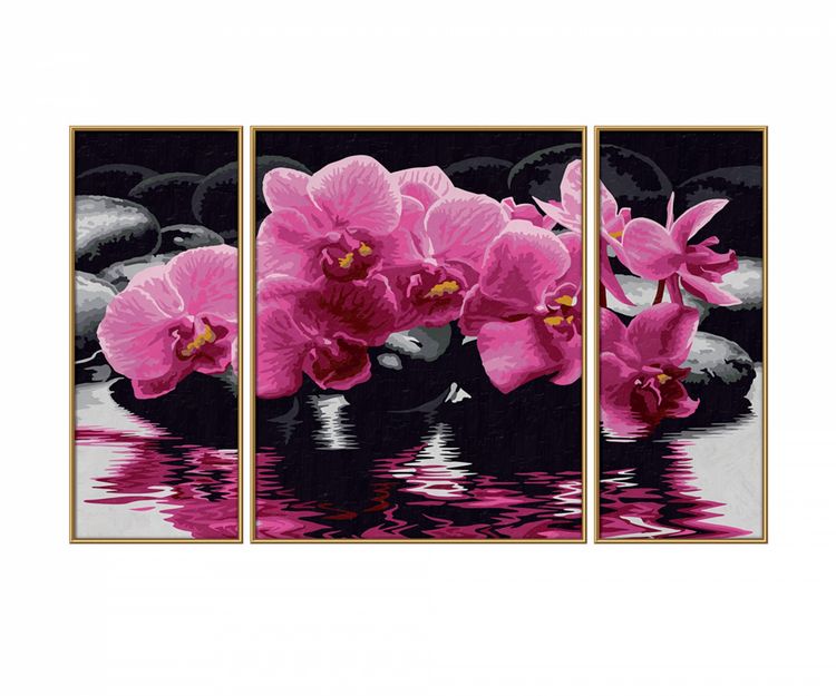 Produktbild: Malen nach Zahlen - Orchideen (Triptychon)