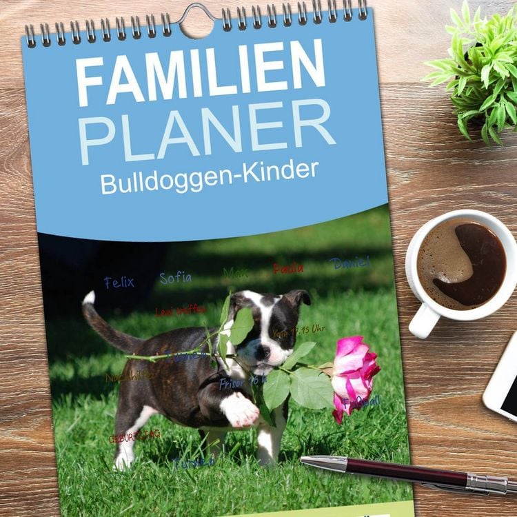 Produktbild: Familienplaner 2026 - Bulldoggen-Kinder mit 5 Spalten (Wandkalender, 21 x 45 cm) CALVENDO