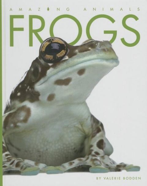 Produktbild: Frogs