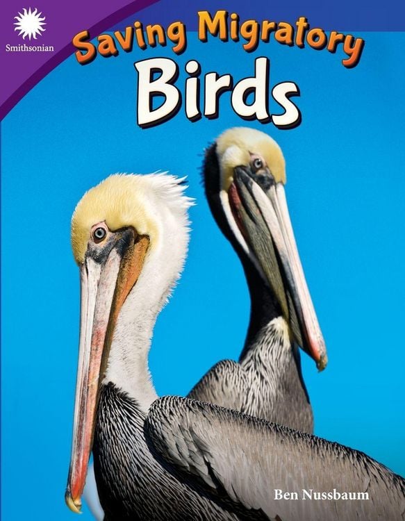 Produktbild: Saving Migratory Birds