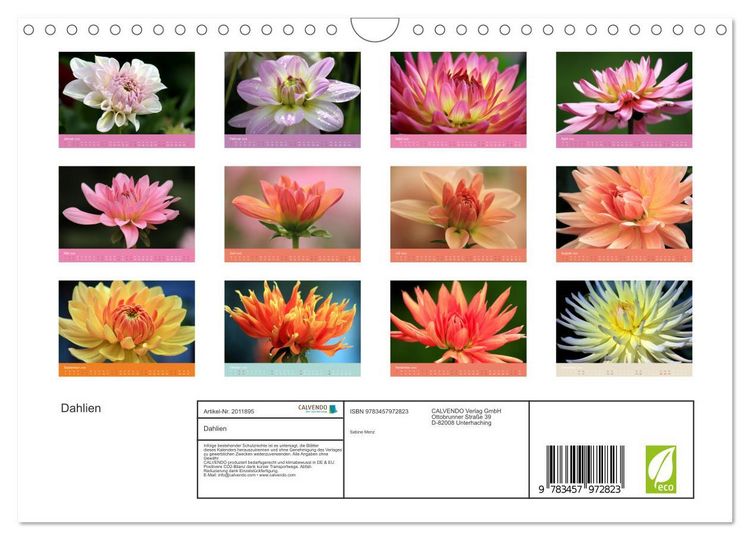 Produktbild: Dahlien (Wandkalender 2026 DIN A4 quer), CALVENDO Monatskalender