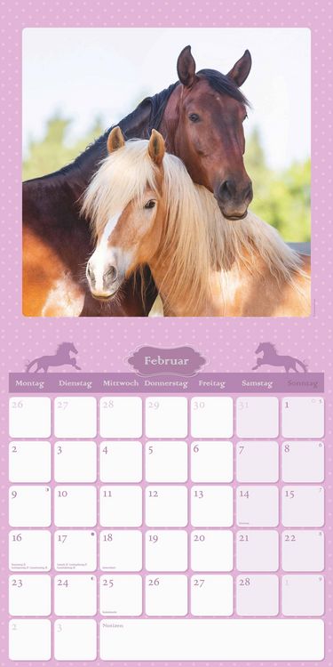 Mein Pferdekalender 2026 - Broschürenkalender 30x30 cm (30x60 geöffnet) - Kalender mit Platz für Notizen - Bildkalender - Wandplaner - Wandkalender