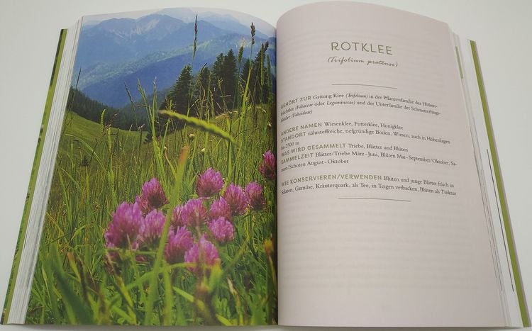 Produktbild: Meine Wildkr&auml;uter