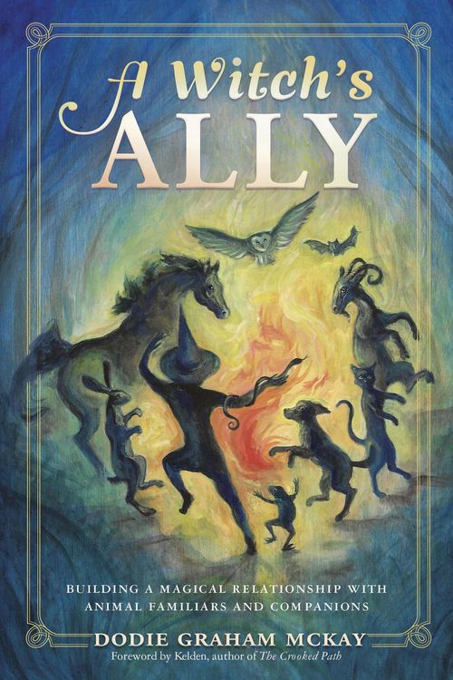 Produktbild: A Witch's Ally