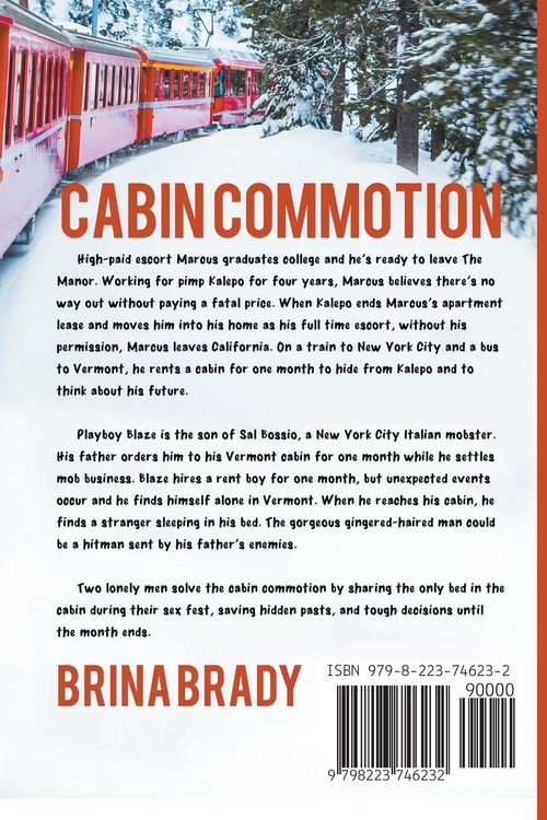 Produktbild: Cabin Commotion