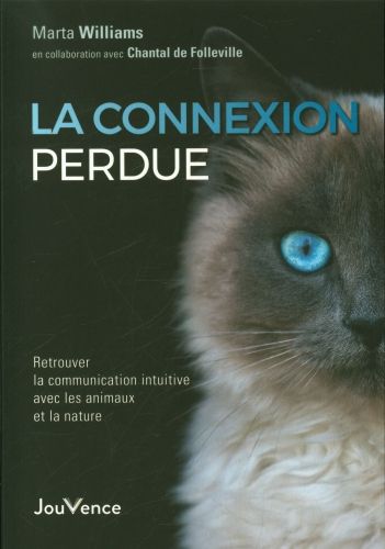 Produktbild: La connexion perdue