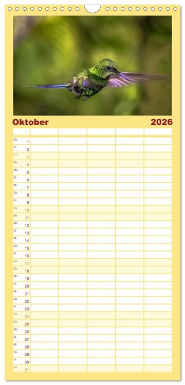 Produktbild: Familienplaner 2026 - Kolibris; Anmut, Sch&ouml;nheit, Farben mit 5 Spalten (Wandkalender, 21 x 45 cm) CALVENDO